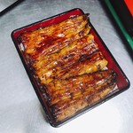 Unagi Hasunuma - 