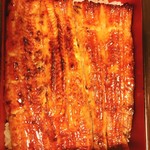 Unagi Hasunuma - 