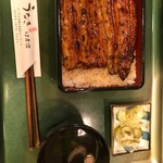 Unagi Hasunuma - 