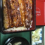 Unagi Hasunuma - 