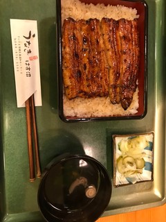 Unagi Hasunuma - 