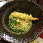 讃岐おもてなしうどん たんたかたん - 大きな器に盛った天ぷらうどん