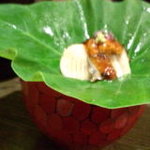 グランディア芳泉 - 