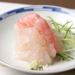 Ginza Sushi Kou Honten - 