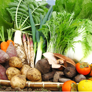 新鮮な契約農家直送の朝採り野菜