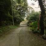 すずめ庵 - 誰も見てないやろ？
      この辺から四足歩行で駆け上がりました