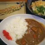 Hanamaru Udon - 温玉ぶっかけ（小）+セットミニカレー+竹輪磯部揚げ　300円+280円+110円