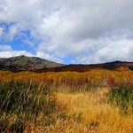 北の蕎麦屋 - オマケ・御在所付近