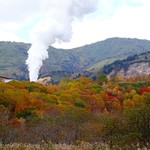 北の蕎麦屋 - オマケ・地熱発電所出来てた～(;´Д｀)