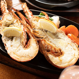 キャプテン・メリアン_0