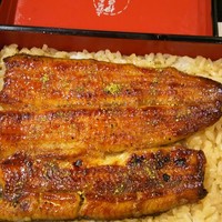 鰻割烹 伊豆栄 本店 - 