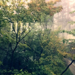 茶房　わらび野 - 