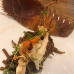 シクラメンテ - 