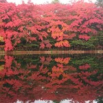 Shinbi-do Drugs - （参考）軽井沢駅から徒歩圏内の紅葉スポット