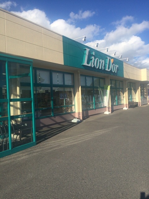 リオン・ドール 矢吹東店 - 矢吹（コンビニ・スーパー）の写真