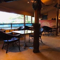 伊豆高原 城ケ崎温泉 花吹雪 - 