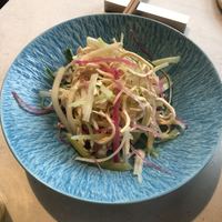 CINA New Modern Chinese - 