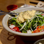 鳥光國 - 13種類の光國サラダ