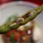 草喰 なかひがし - 小豆らしい。。
      なかなか、見ないから新鮮(笑)