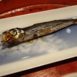 草喰 なかひがし - 鰯雲にめざし。
      大空を泳いでます♪