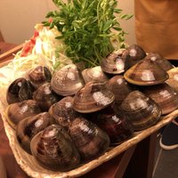 桑名蛤料理・蛤しゃぶしゃぶ 貝新 - 