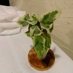 ラ・サンテ - テーブルのアクセント