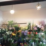 オレンジテール - 