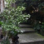 鳥茶屋 - 外観の風景です