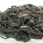 カプリチョーザ - 