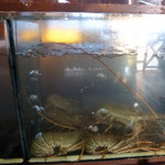 Kelong Seafood Restaurant Nirwana Gardens - 