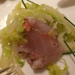 アッピア - きんめちゃん