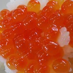 ヤマサン 渡辺商店 - 
