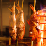 刺身と原始焼き ダイキチきんぎょ