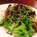 organic vegetable green salad