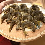 銀座 しのはら - 鮎の行列。焼き物ではなく揚げものが珍しい。