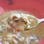 フジヤマドラゴンカレー - 