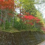 餅倖 - 飛騨金山の滝巡りの駐車場近くの紅葉です