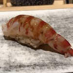 Sushi Homare - 車海老・・半レア仕上げ。レア感が残り、より海老の旨みを感じるようで美味しいですねぇ。