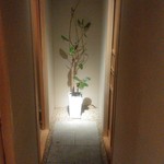 とりころろ 名古屋総本店 - 通路の先にある植物