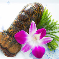 オマール海老