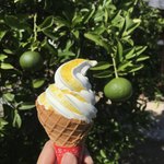萩博物館レストラン - 