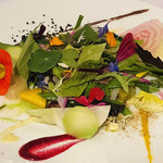 ミシェル・ブラス トーヤ ジャポン - 