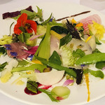 ミシェル・ブラス トーヤ ジャポン - 