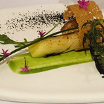 ミシェル・ブラス トーヤ ジャポン - 