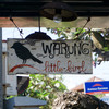 Warung Little Bird 