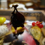 セララバアド - 落葉の森