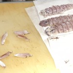 刺身BAR 河岸頭 - 