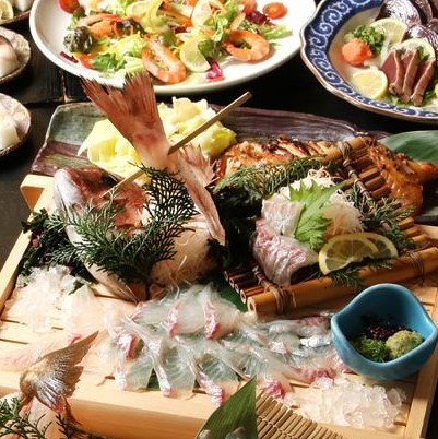 ざうお 亀戸駅前店 亀戸 居酒屋 食べログ