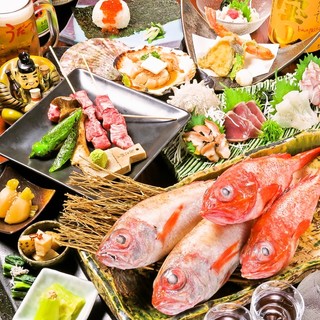 炉端焼 うだつ_1