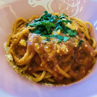 biodinamico - 